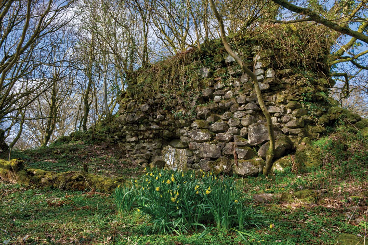 Duchall Castle remains