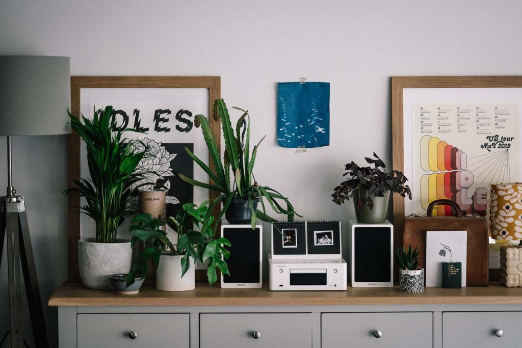 House plants