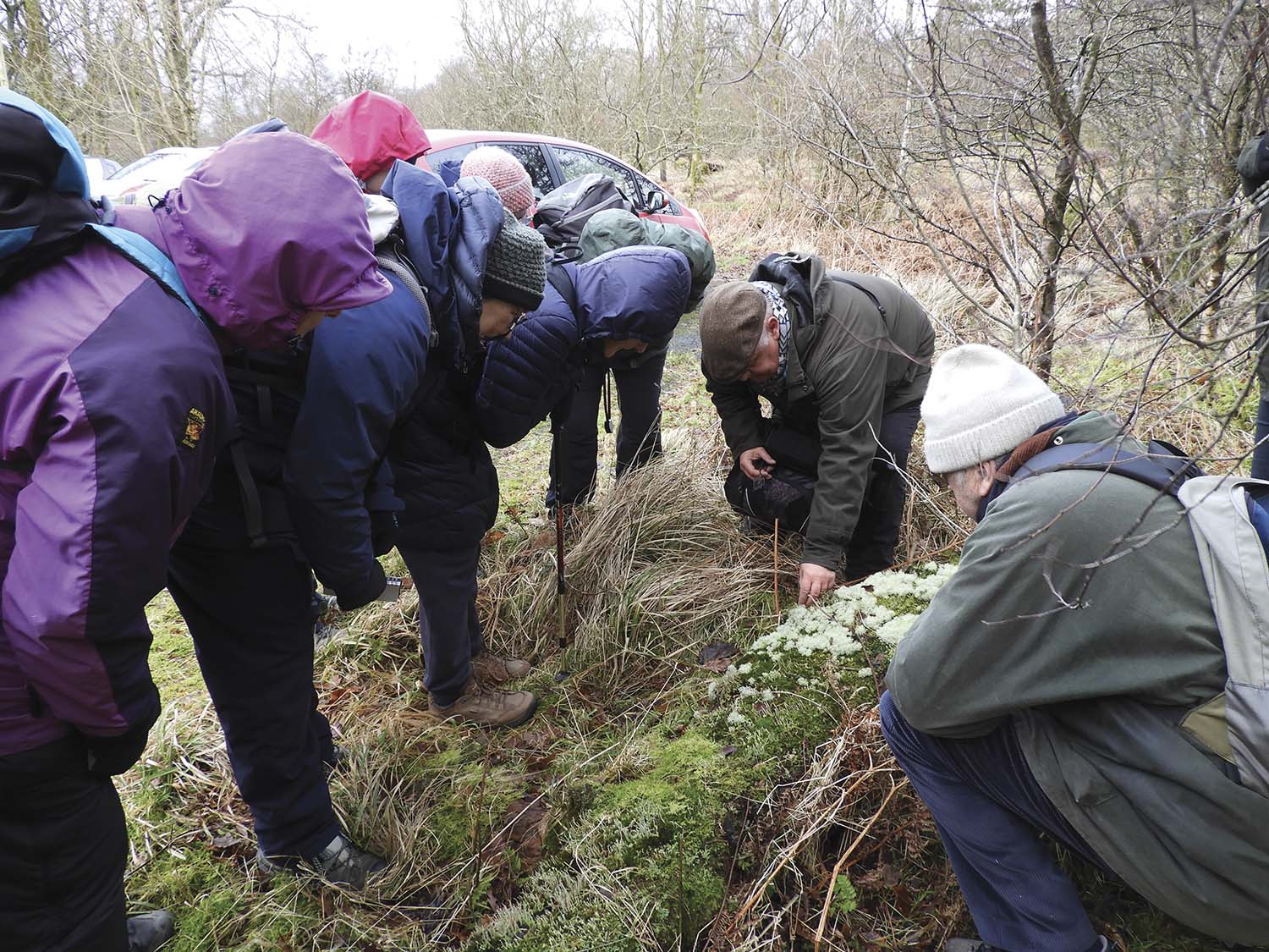 Paisley Natural History Society