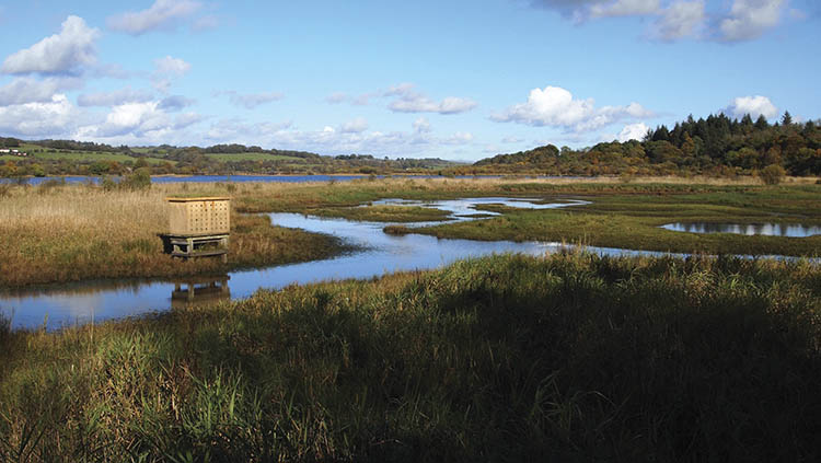 Paisley Natural History Society
